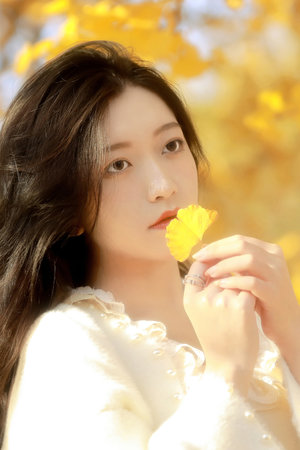 高校教师在线免费观看