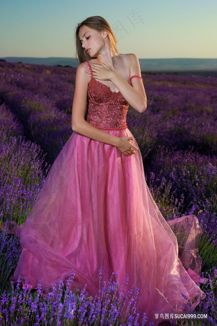 国语自产在线观看免费播放