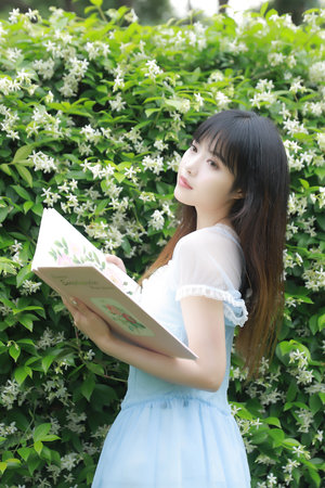 日韩免费一区二区在线播放