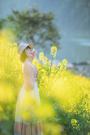 4399日本韩国好看电影