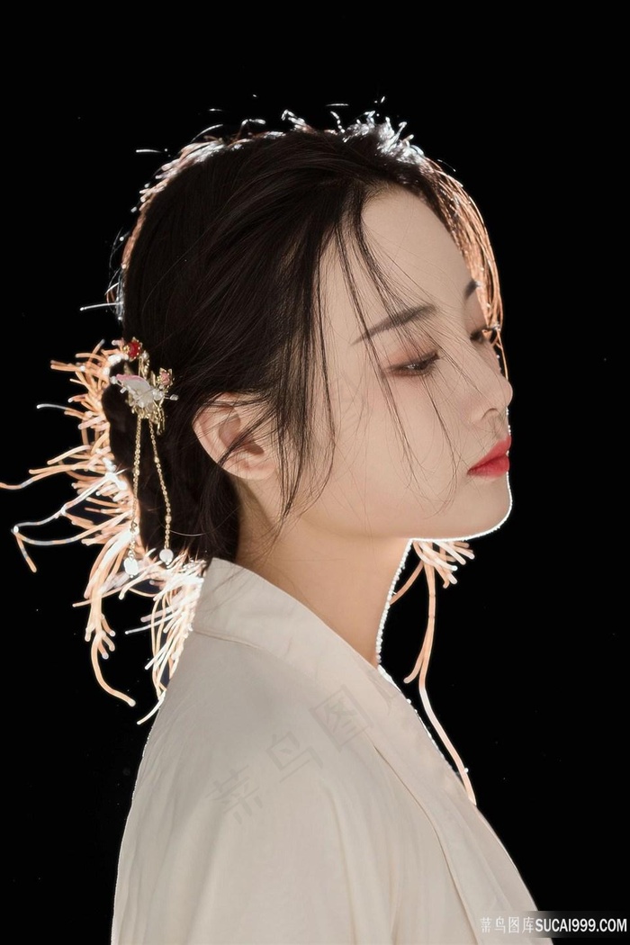 丛林激情在线观看