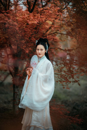 欧美19禁